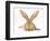 Flemish Giant Rabbit with Ears Erect-Mark Taylor-Framed Photographic Print