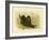 Fleshy-Footed Petrel, 1891-Gracius Broinowski-Framed Giclee Print