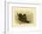 Fleshy-Footed Petrel, 1891-Gracius Broinowski-Framed Giclee Print