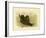 Fleshy-Footed Petrel, 1891-Gracius Broinowski-Framed Giclee Print