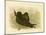 Fleshy-Footed Petrel, 1891-Gracius Broinowski-Mounted Giclee Print