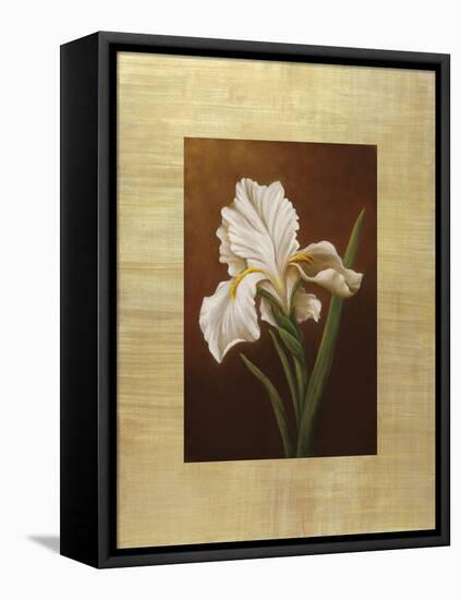 Fleur de Iris-Virginia Huntington-Framed Stretched Canvas