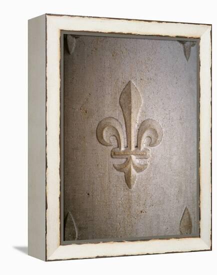 Fleur-de-lis Carved on Stone-null-Framed Premier Image Canvas