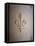 Fleur-de-lis Carved on Stone-null-Framed Premier Image Canvas