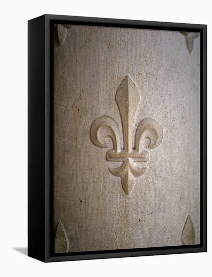 Fleur-de-lis Carved on Stone-null-Framed Premier Image Canvas