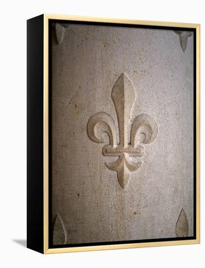 Fleur-de-lis Carved on Stone-null-Framed Premier Image Canvas