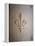 Fleur-de-lis Carved on Stone-null-Framed Premier Image Canvas