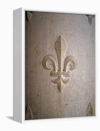 Fleur-de-lis Carved on Stone-null-Framed Premier Image Canvas