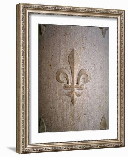 Fleur-de-lis Carved on Stone-null-Framed Photographic Print