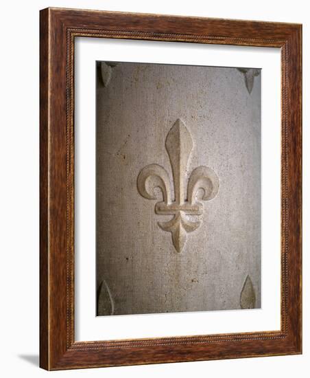 Fleur-de-lis Carved on Stone-null-Framed Photographic Print