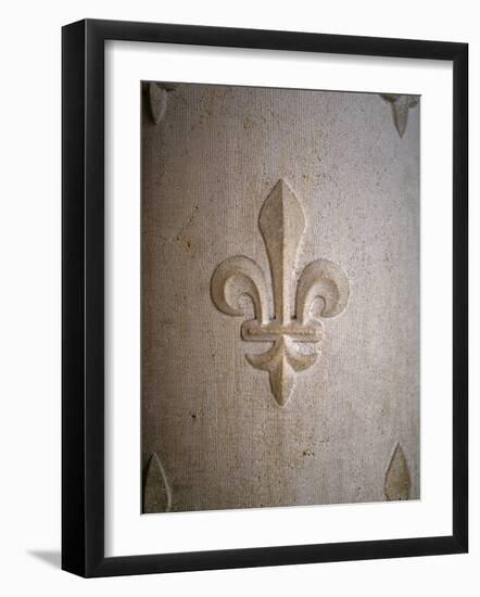 Fleur-de-lis Carved on Stone-null-Framed Photographic Print