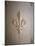 Fleur-de-lis Carved on Stone-null-Mounted Photographic Print