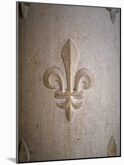 Fleur-de-lis Carved on Stone-null-Mounted Photographic Print