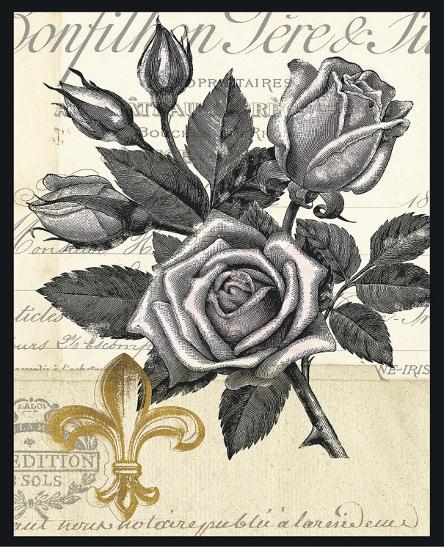 Fleur De Lis Rose Art Print By Devon Ross Artcom