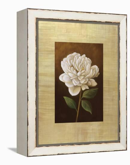 Fleur de Magnolia-Virginia Huntington-Framed Stretched Canvas