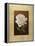 Fleur de Magnolia-Virginia Huntington-Framed Stretched Canvas