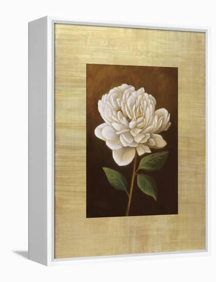 Fleur de Magnolia-Virginia Huntington-Framed Stretched Canvas