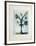 Fleur de mai-Jean-marie Guiny-Framed Limited Edition