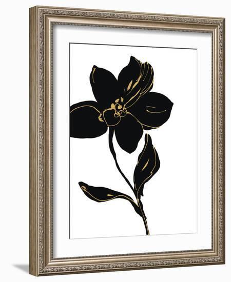 Fleur de Nuit I - Luxe-Sandra Jacobs-Framed Giclee Print