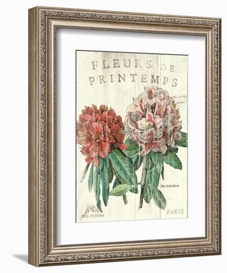 Fleur de Printemps-Sue Schlabach-Framed Art Print