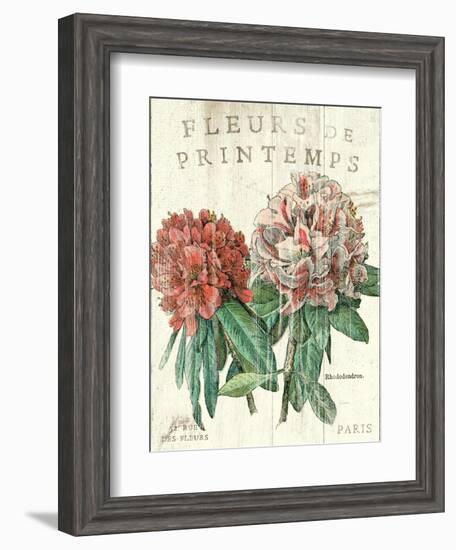 Fleur de Printemps-Sue Schlabach-Framed Art Print