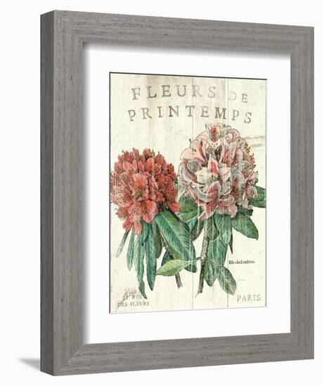 Fleur de Printemps-Sue Schlabach-Framed Art Print