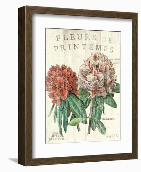 Fleur de Printemps-Sue Schlabach-Framed Art Print