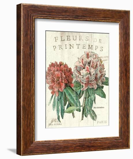 Fleur de Printemps-Sue Schlabach-Framed Art Print