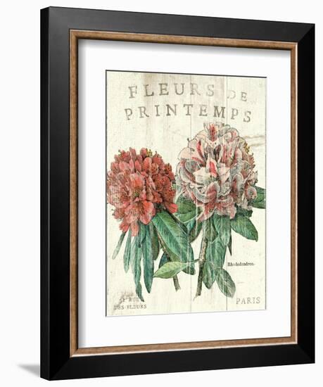 Fleur de Printemps-Sue Schlabach-Framed Art Print