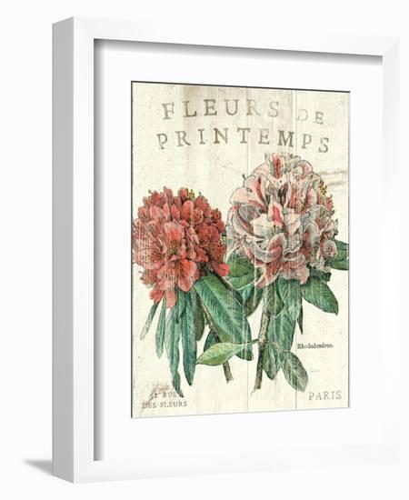Fleur de Printemps-Sue Schlabach-Framed Art Print