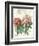 Fleur de Printemps-Sue Schlabach-Framed Art Print