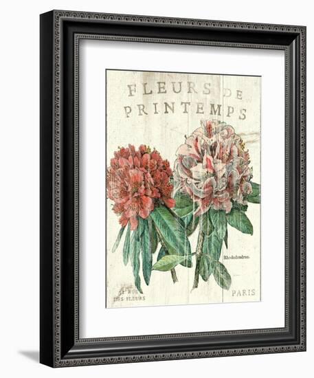 Fleur de Printemps-Sue Schlabach-Framed Art Print