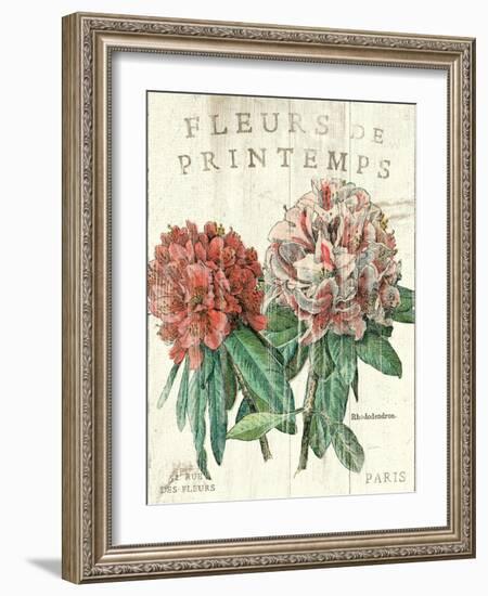 Fleur de Printemps-Sue Schlabach-Framed Art Print