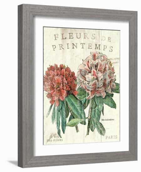 Fleur de Printemps-Sue Schlabach-Framed Art Print