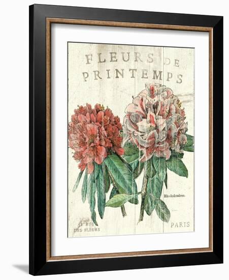 Fleur de Printemps-Sue Schlabach-Framed Art Print