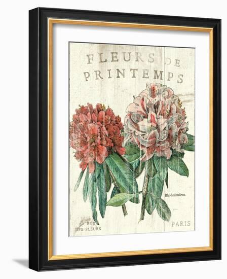 Fleur de Printemps-Sue Schlabach-Framed Art Print