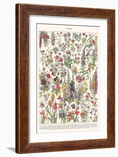 Fleur I - ASTER Edition, 2023 (Digital)-Florent Bodart-Framed Giclee Print