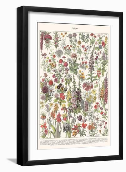 Fleur I - ASTER Edition, 2023 (Digital)-Florent Bodart-Framed Giclee Print