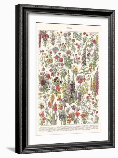 Fleur I - ASTER Edition, 2023 (Digital)-Florent Bodart-Framed Giclee Print