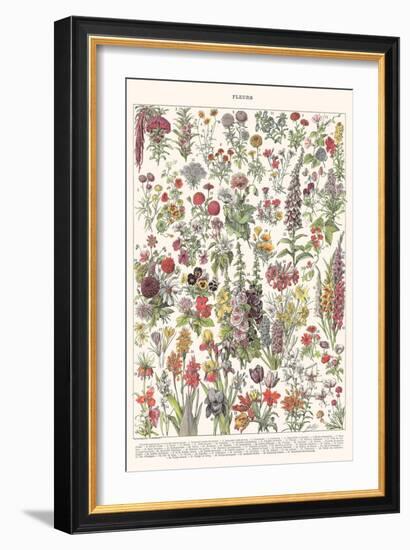 Fleur I - ASTER Edition, 2023 (Digital)-Florent Bodart-Framed Giclee Print