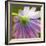 Fleur II-Joseph Eta-Framed Giclee Print