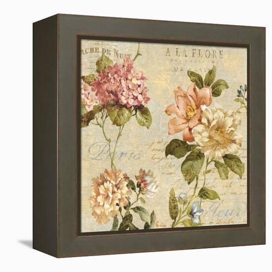 Fleur Paris I-Deborah Devellier-Framed Stretched Canvas