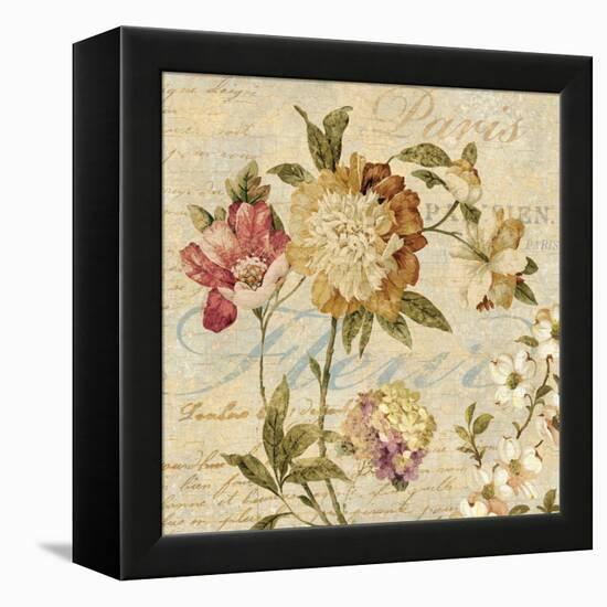 Fleur Paris II-Deborah Devellier-Framed Stretched Canvas