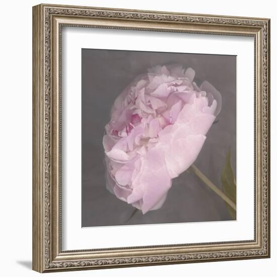 Fleur-Erin Clark-Framed Art Print