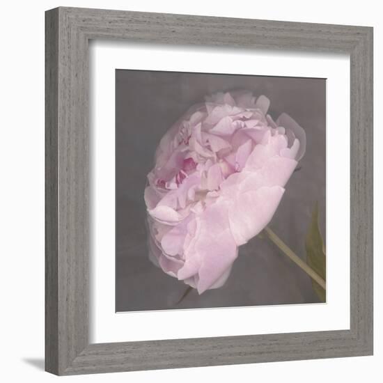 Fleur-Erin Clark-Framed Art Print