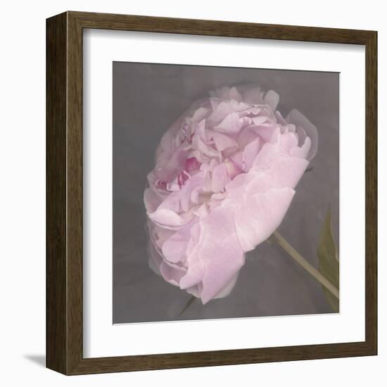 Fleur-Erin Clark-Framed Art Print