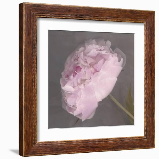 Fleur-Erin Clark-Framed Art Print