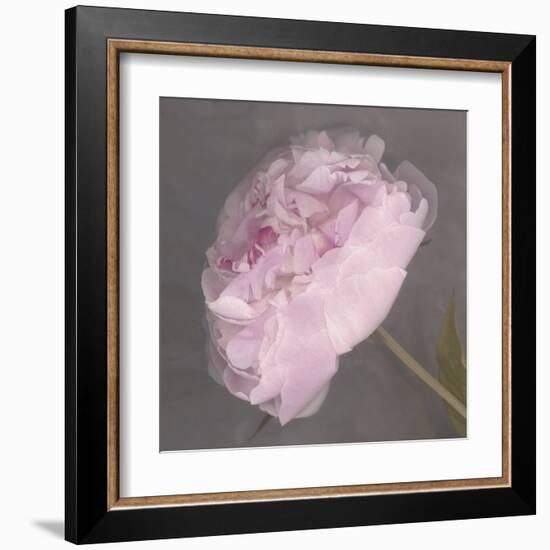 Fleur-Erin Clark-Framed Art Print