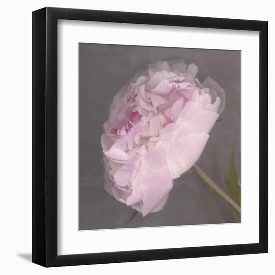 Fleur-Erin Clark-Framed Art Print