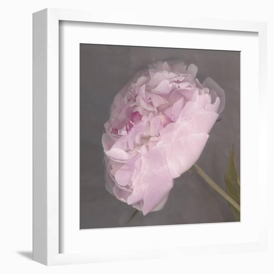 Fleur-Erin Clark-Framed Art Print